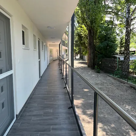 Sunday Rose 2 * Zamardi