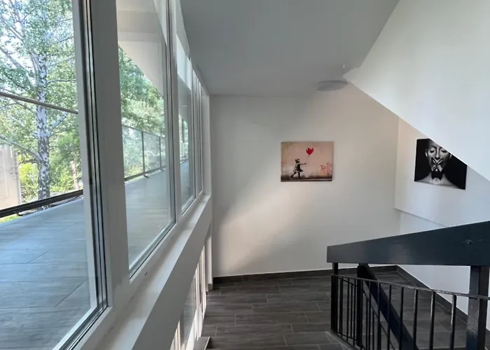 Sunday Rose 2 Zamárdi